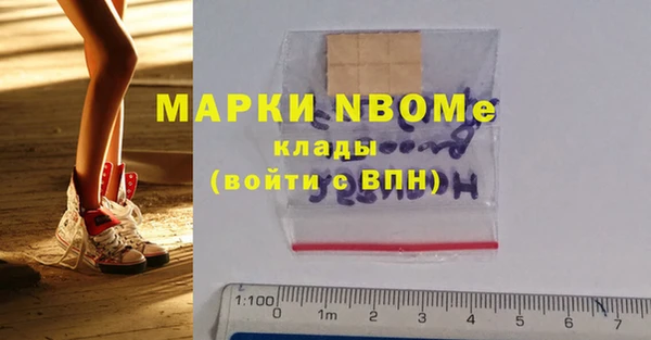 индика Алзамай