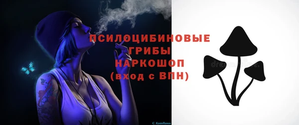 индика Алзамай