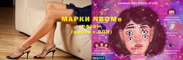 индика Алзамай